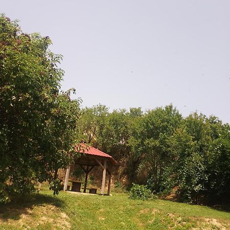 Retro Vendeghaz Villa Nagyharsány Dış mekan fotoğraf