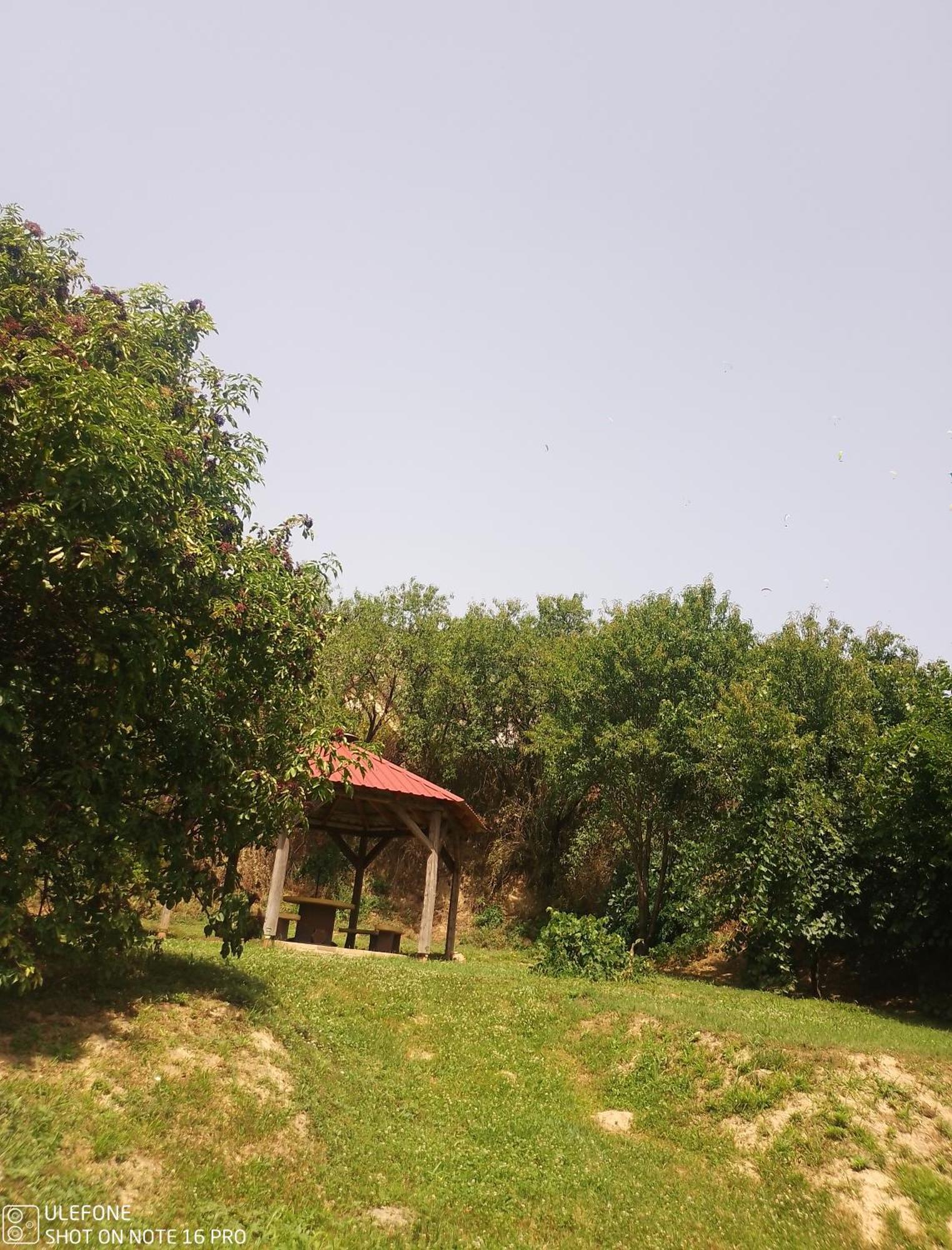 Retro Vendeghaz Villa Nagyharsány Dış mekan fotoğraf
